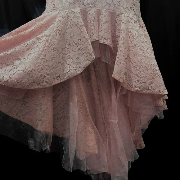 Ina Blush Lace Dress - Picture 4 of 5